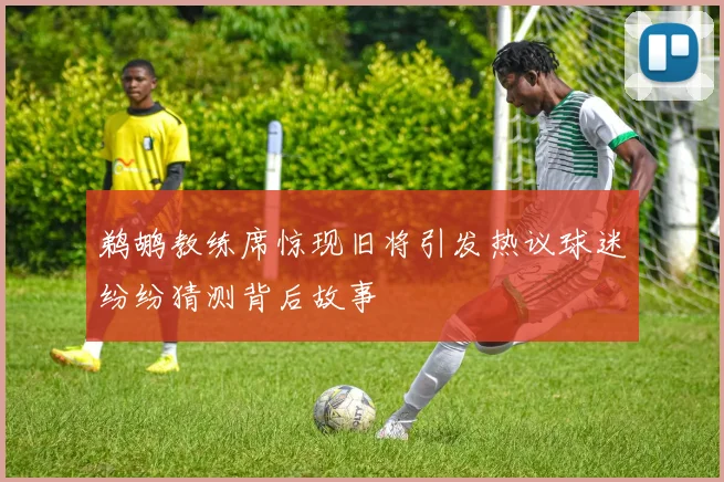 鹈鹕教练席惊现旧将引发热议球迷纷纷猜测背后故事