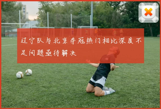 辽宁队与北京夺冠热门相比深度不足问题亟待解决