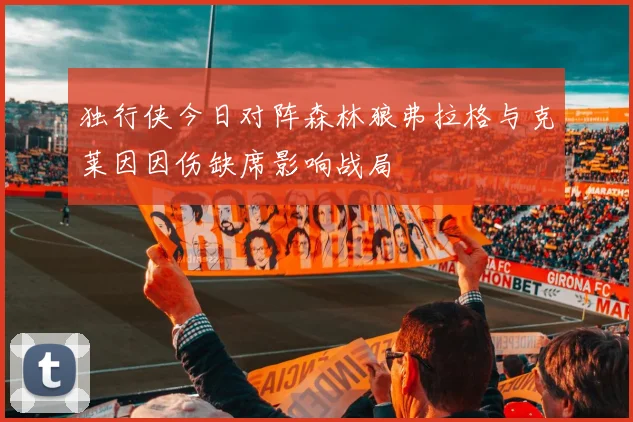 独行侠今日对阵森林狼弗拉格与克莱因因伤缺席影响战局