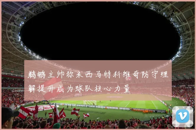 鹈鹕主帅称米西马特科维奇防守理解提升成为球队核心力量