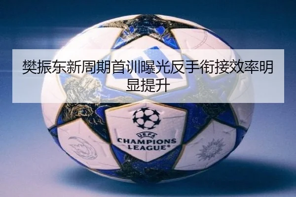 樊振东新周期首训曝光反手衔接效率明显提升 - mksports